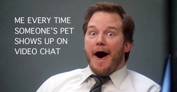 "ME EVERY TIME SOMEONE"S PET SHOWS UP ON VIDEO CHAT" caption with a picture of the excited face of Andy from Parks & Recreation, an American television series.
